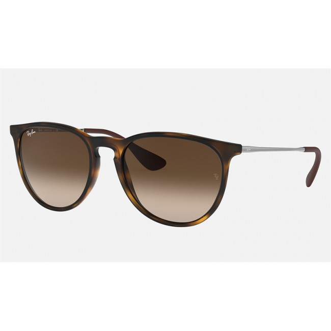 Ray Ban Erika Classic RB4171 Gradient + Tortoise Frame Brown Gradient Lens Sunglasses